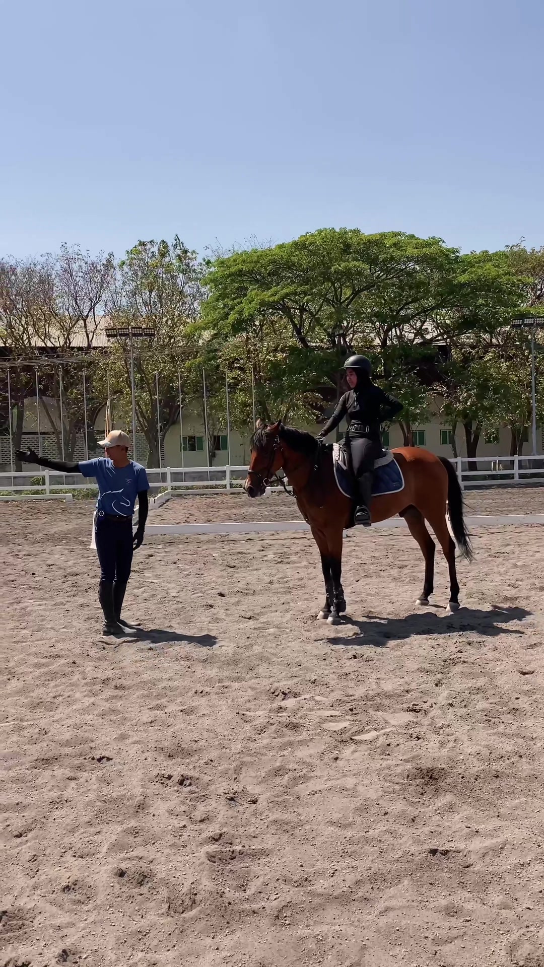 @Emporium Horse Club