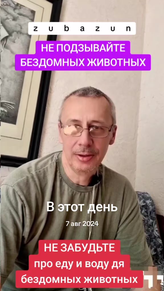 @КОТЫ СОБАКИ И ФИЛОСОФ