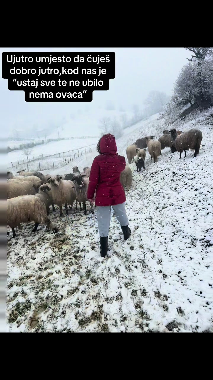 @Ilhana Novkinic