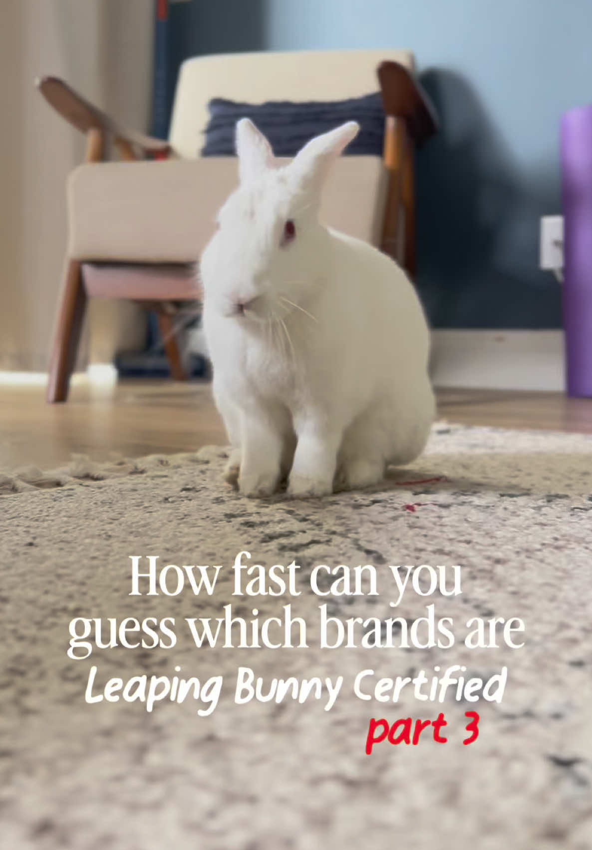 @Leaping Bunny Program