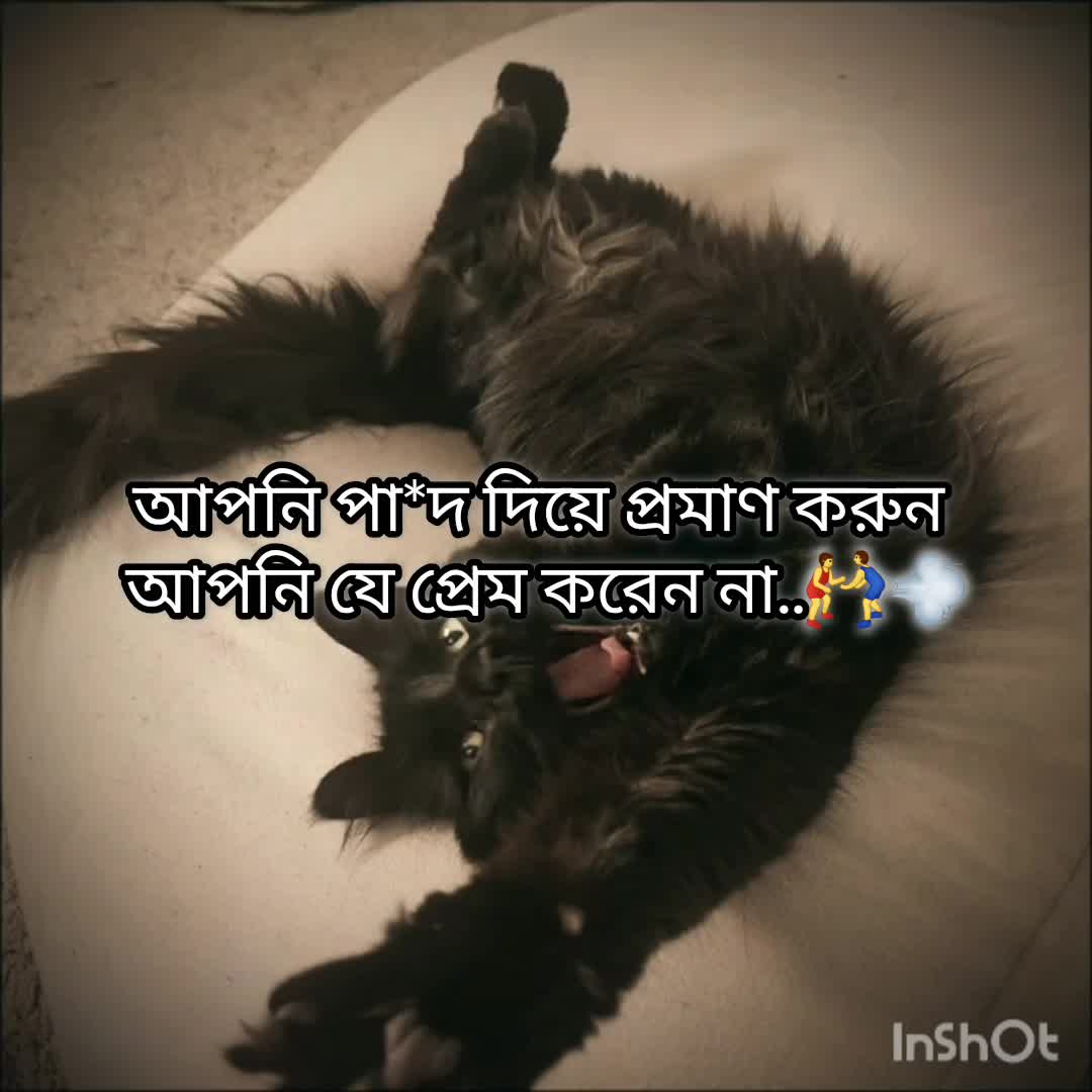 @Mᴀʀᴜғ Bɪʟʟᴀʜ 🌱