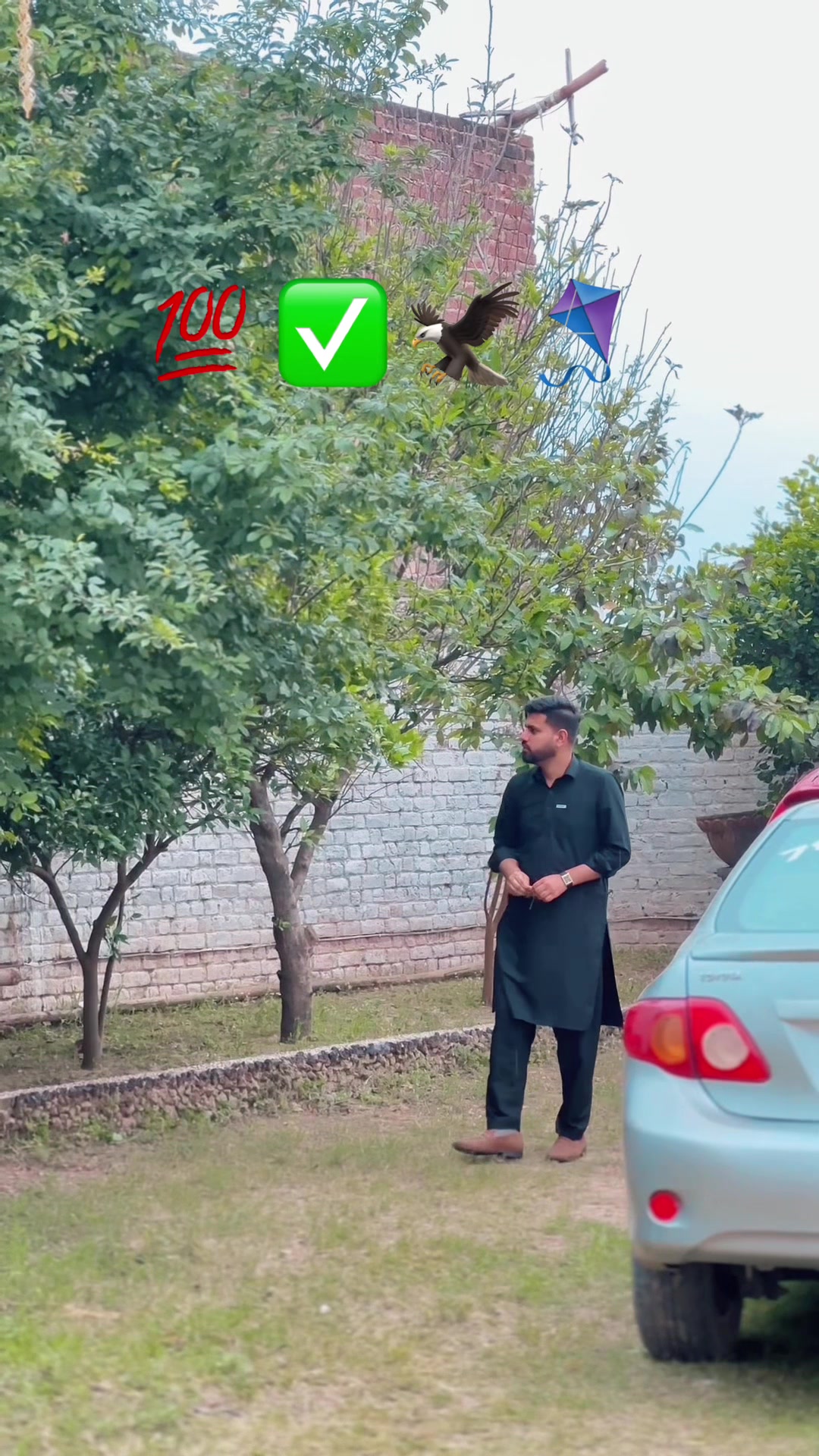 @alihamza10005