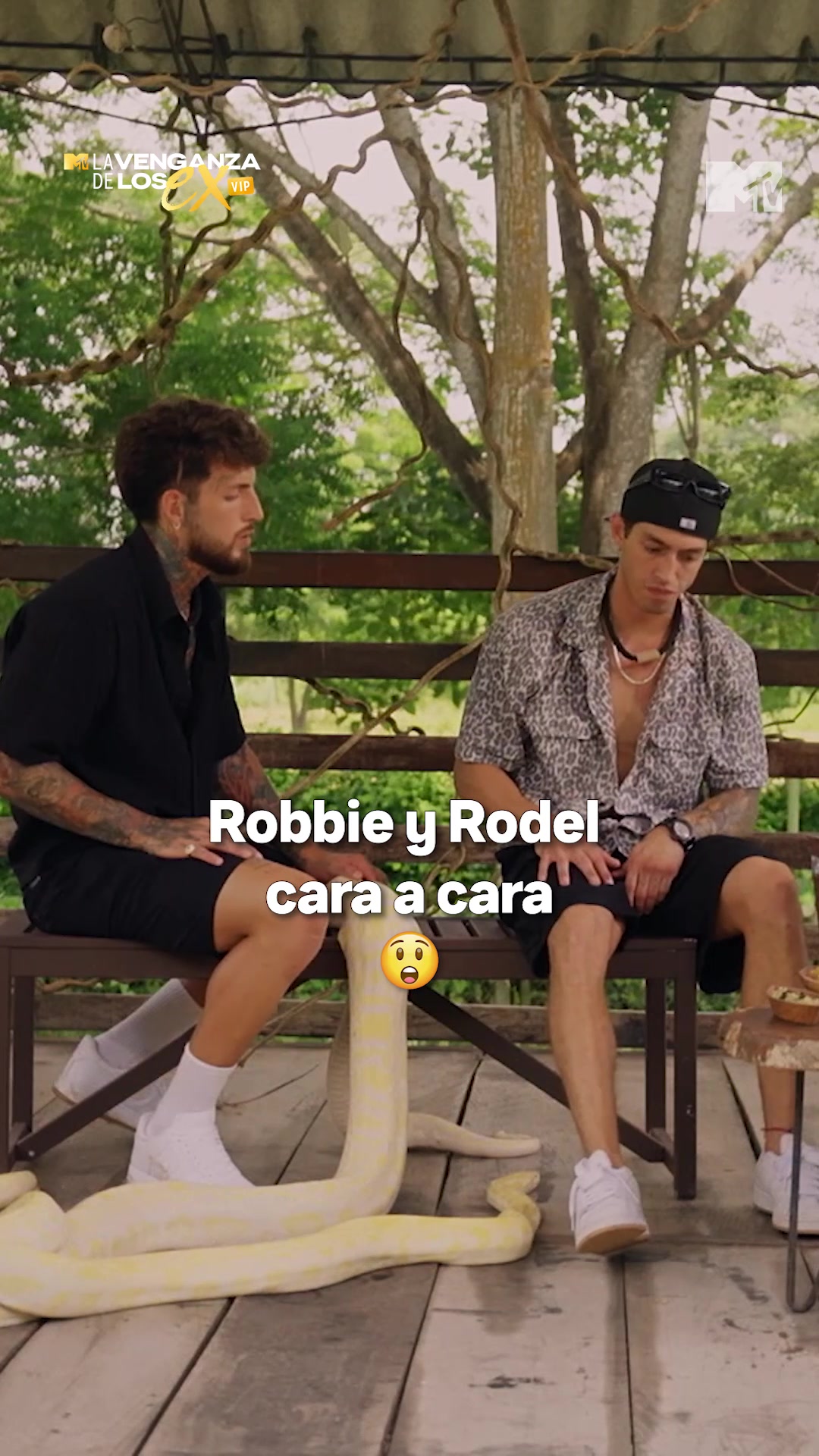 @La Venganza de los Ex VIP