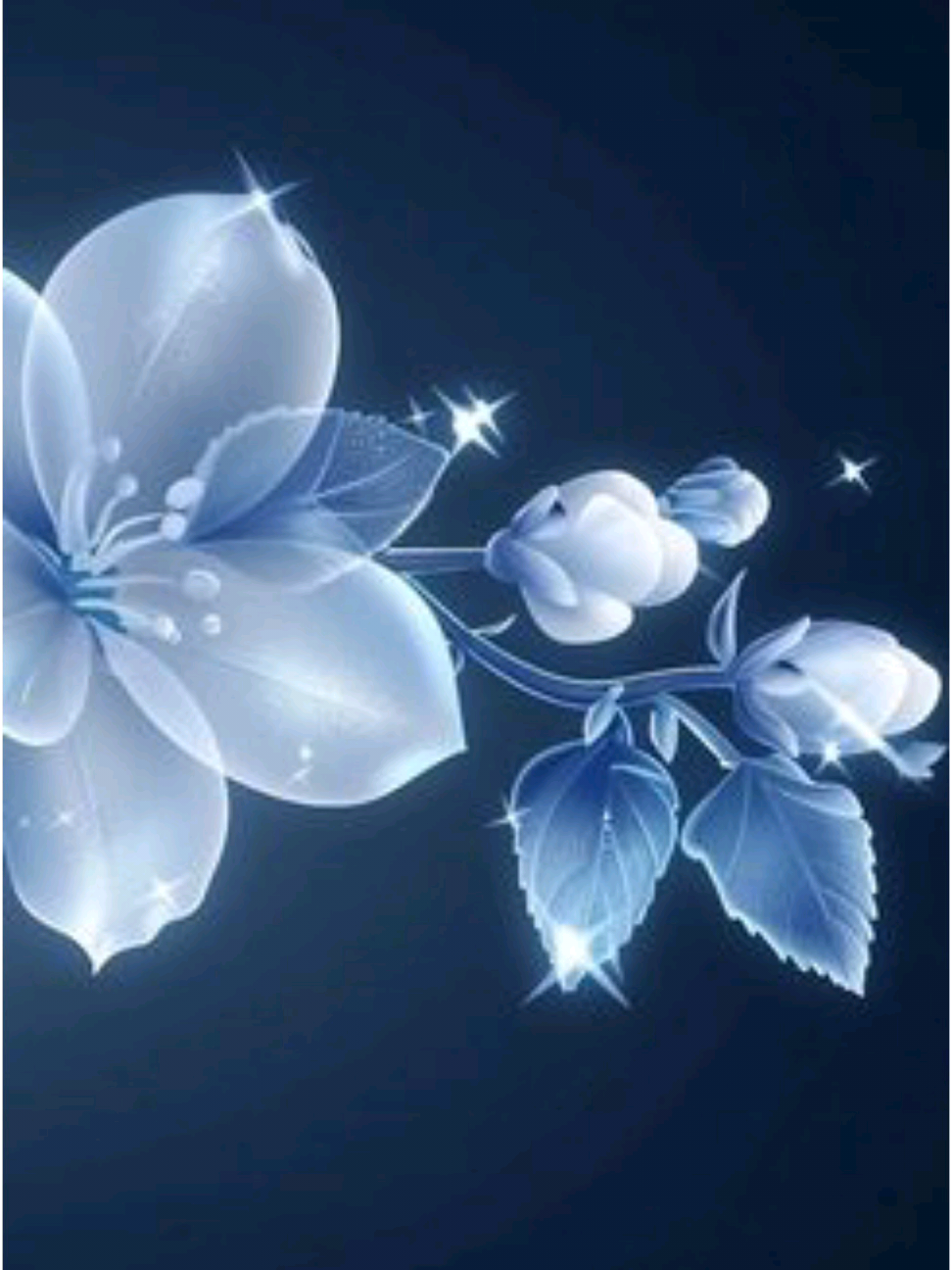 @𝐍𝐨𝐯𝐚𝐫𝐢𝐚 ⋆