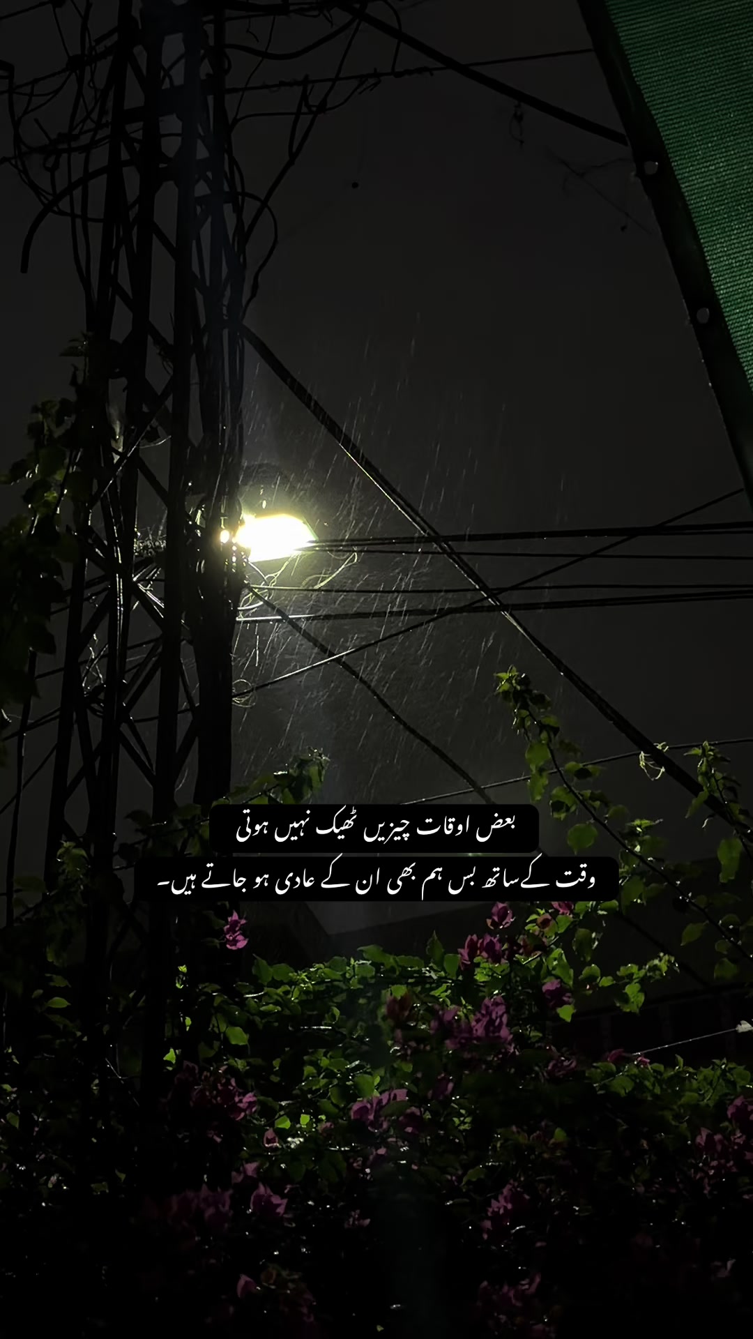 @𝙏 𝘼 𝙇 𝙃 𝘼🫀❤️🩹