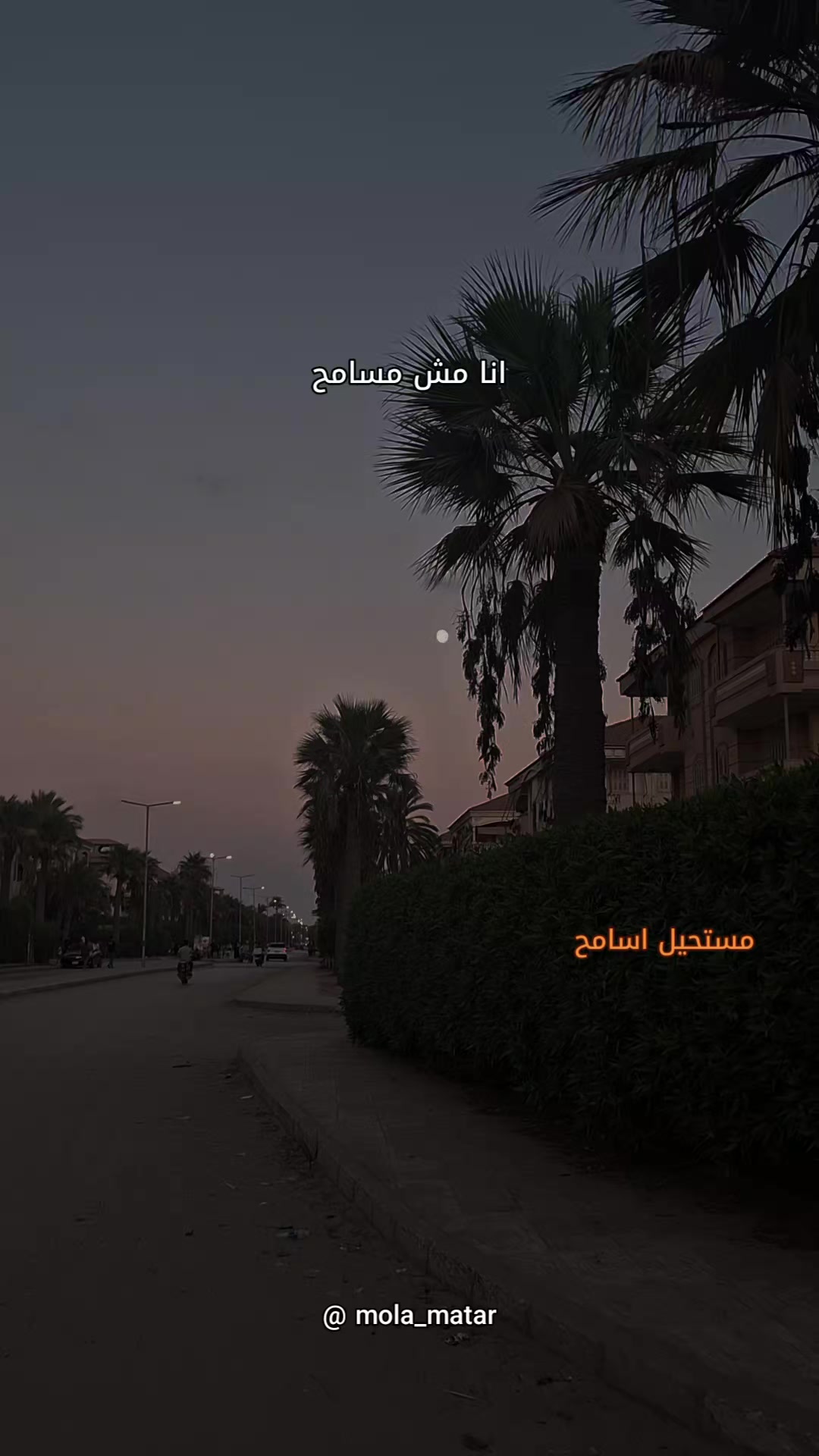 @MolaMatar