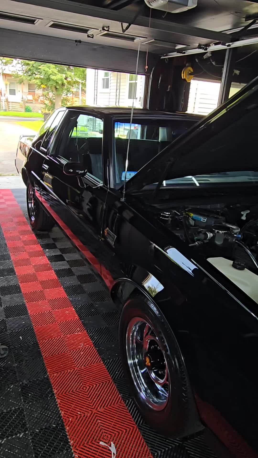@LuisAutoDetailing 🦍💥🦍