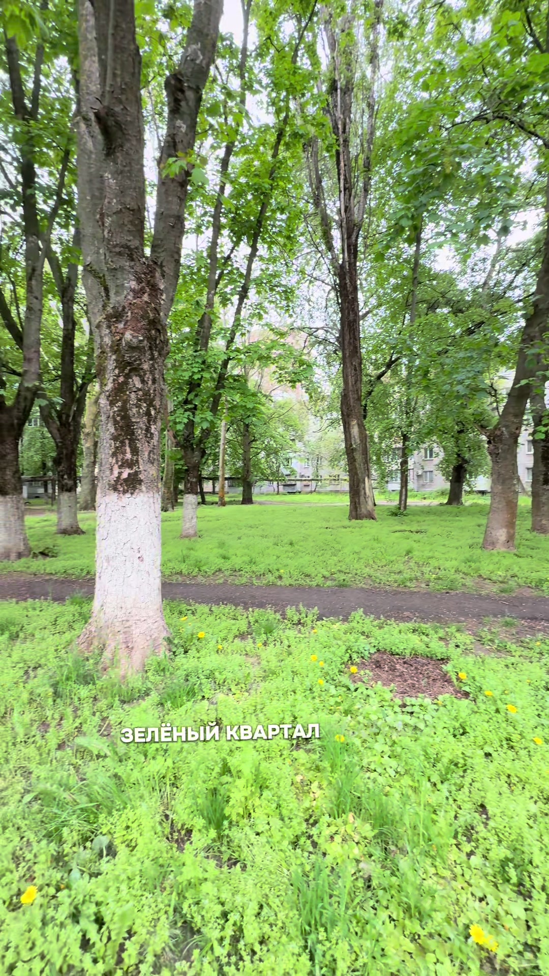 @Власова Тетяна - рієлтор