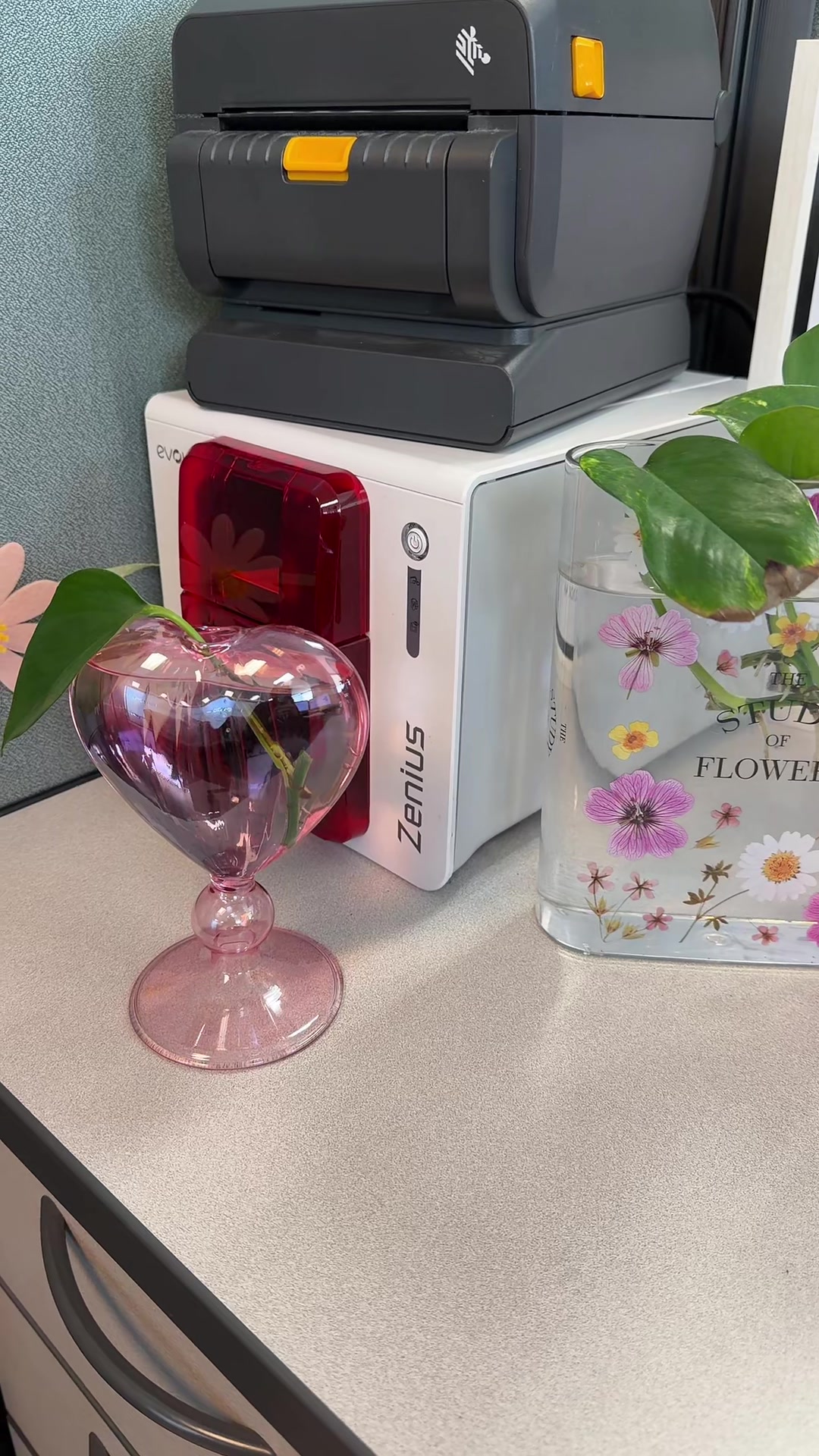 @𝒥𝒶𝓃ℯ𝓉❥