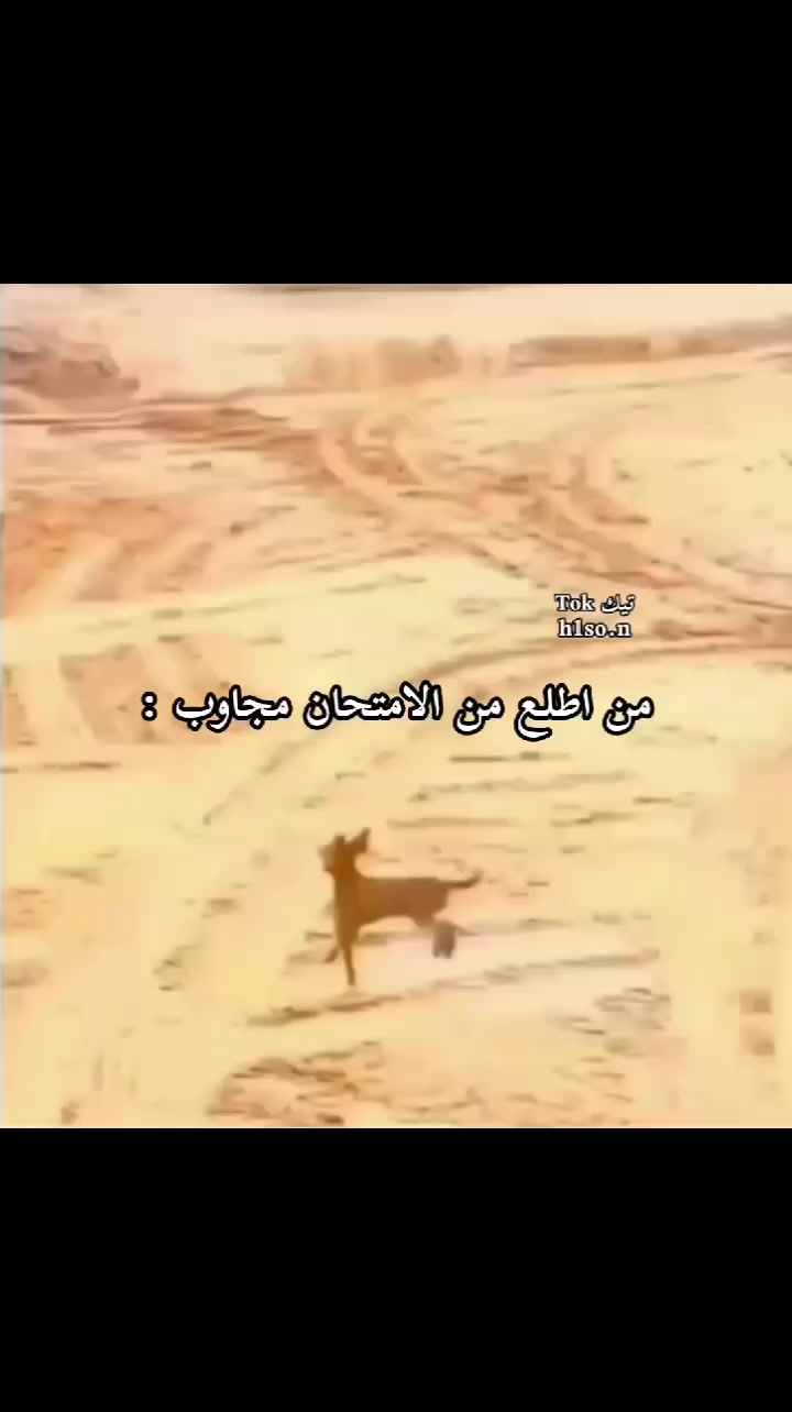 @حسين