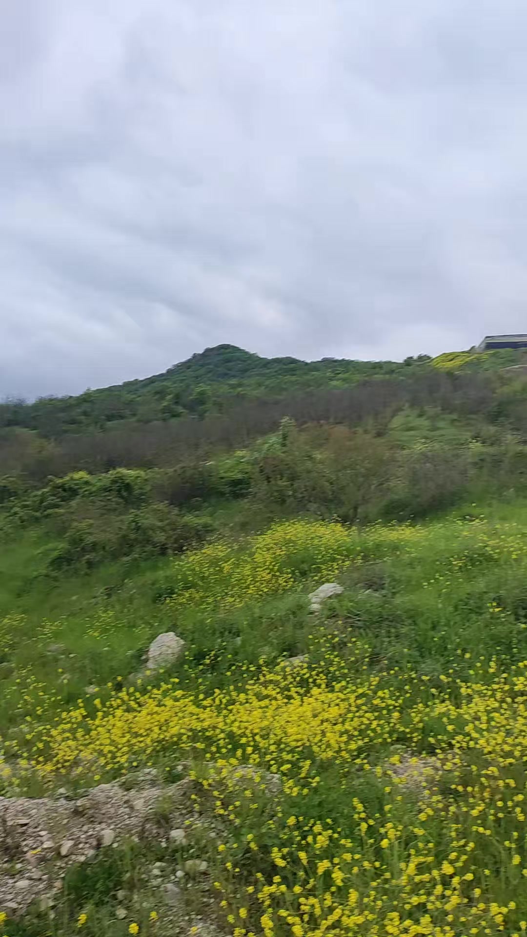 @Qəbələ Əmlak Ruzi