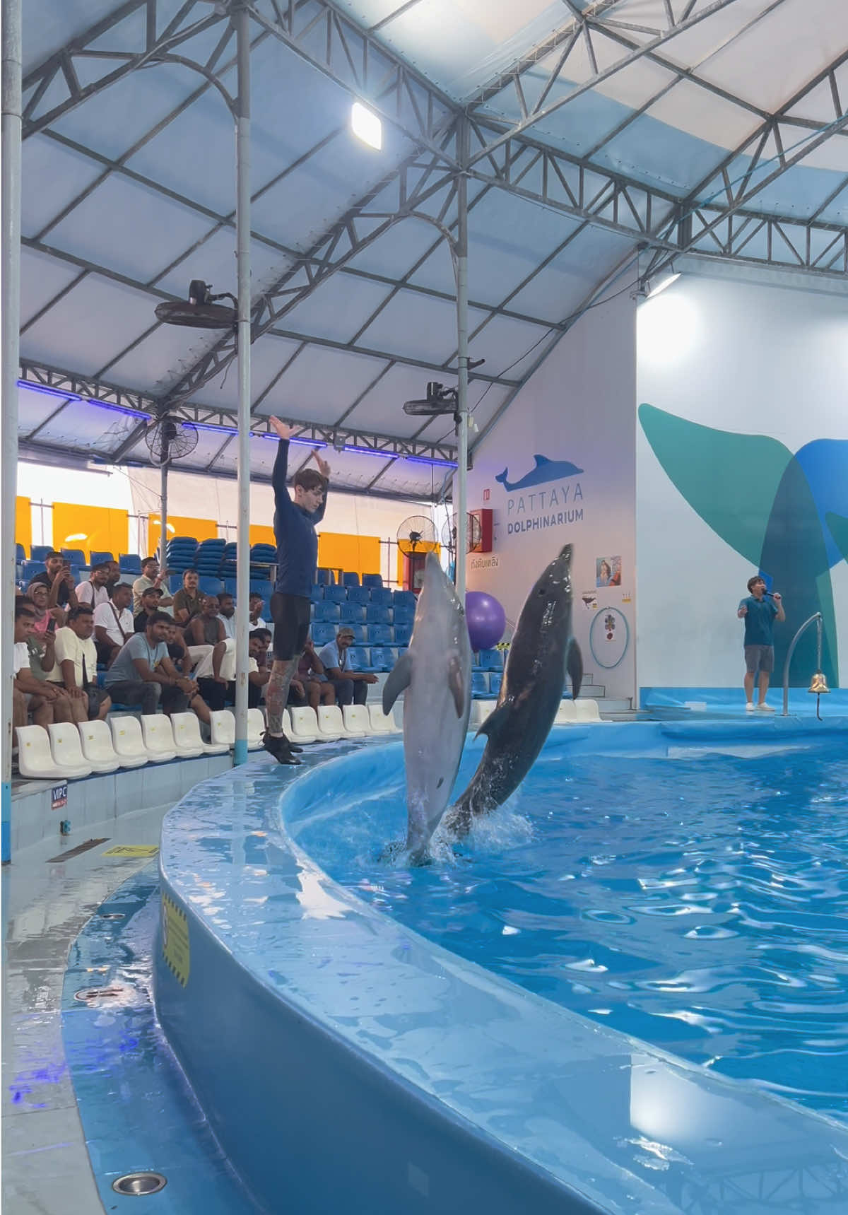 @Pattaya Dolphinarium