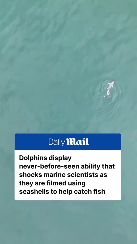 @Daily Mail Australia
