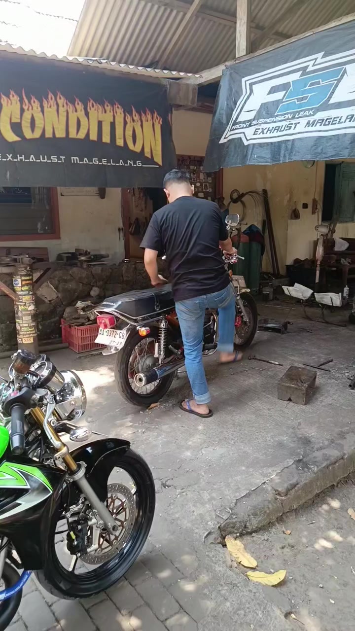 @aliftomy terompetcicada