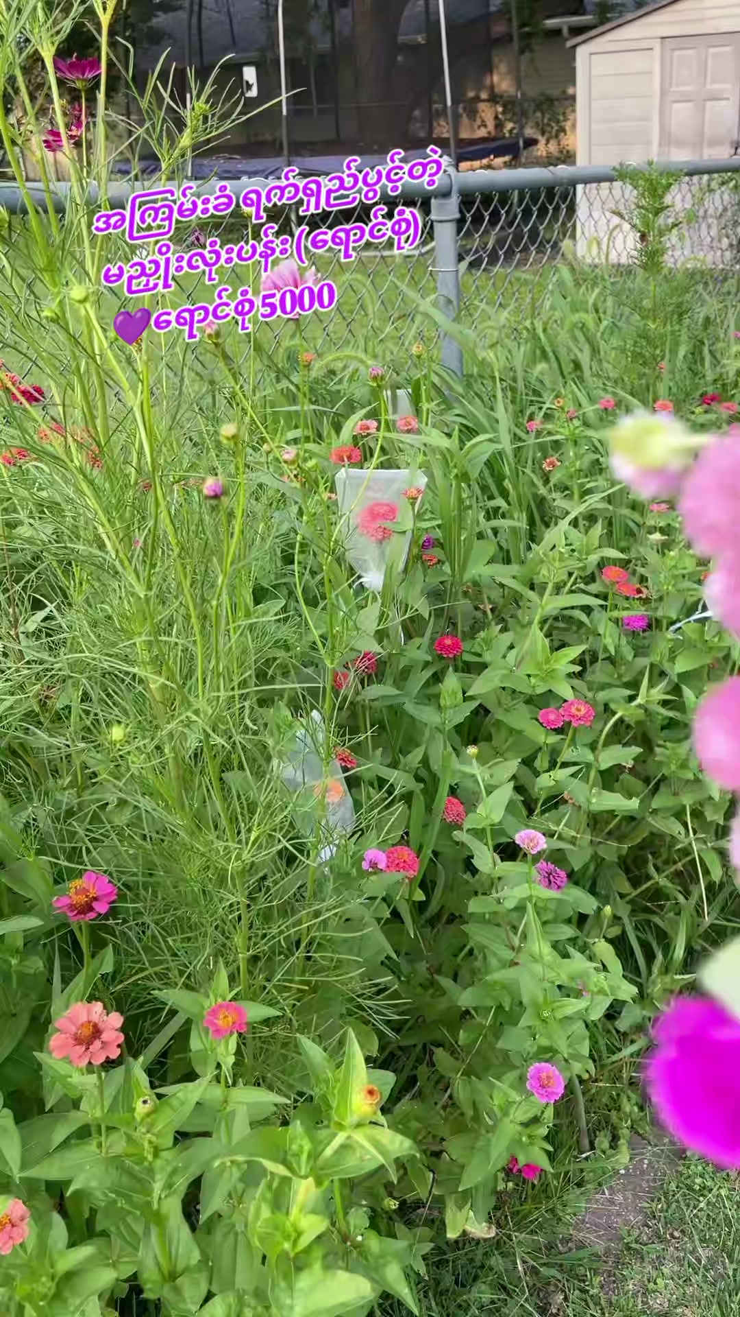 @Floral Village