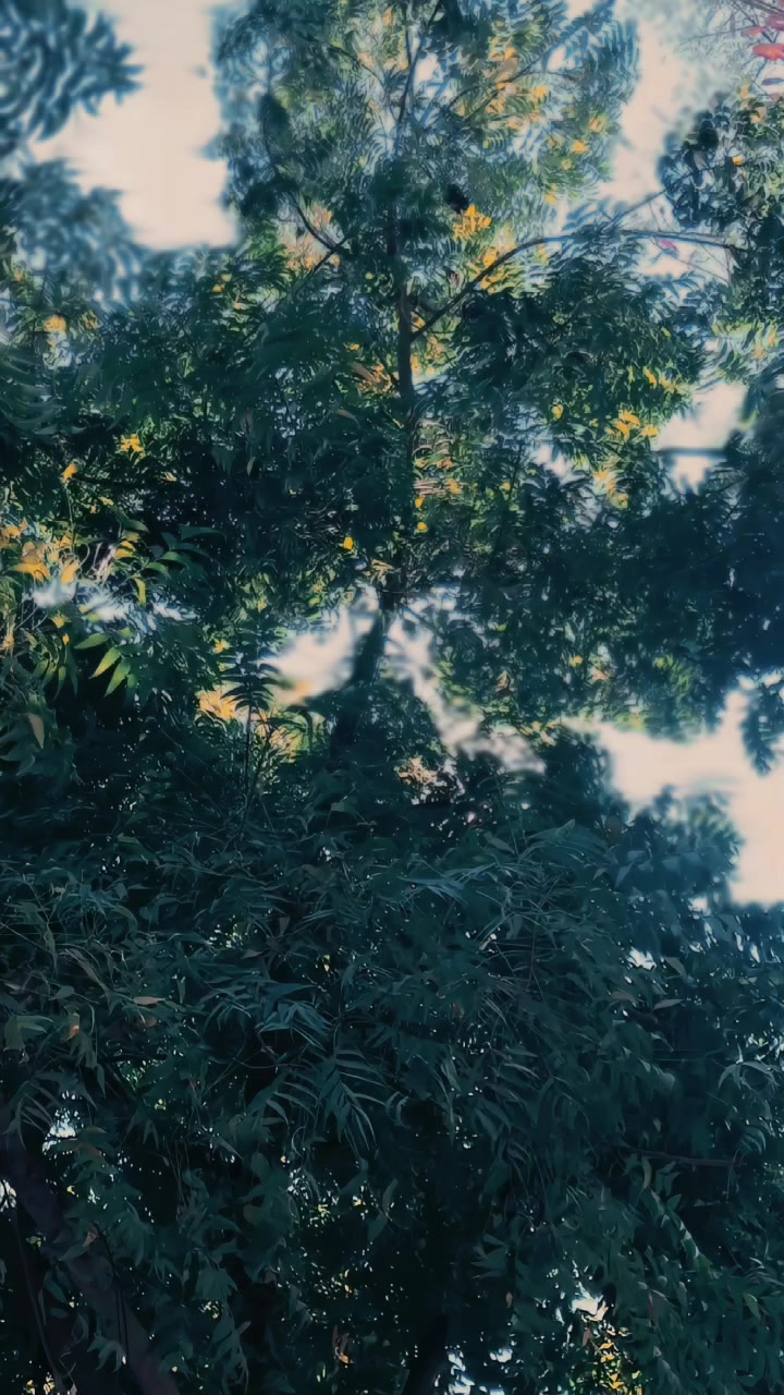 @Raja✨❤️