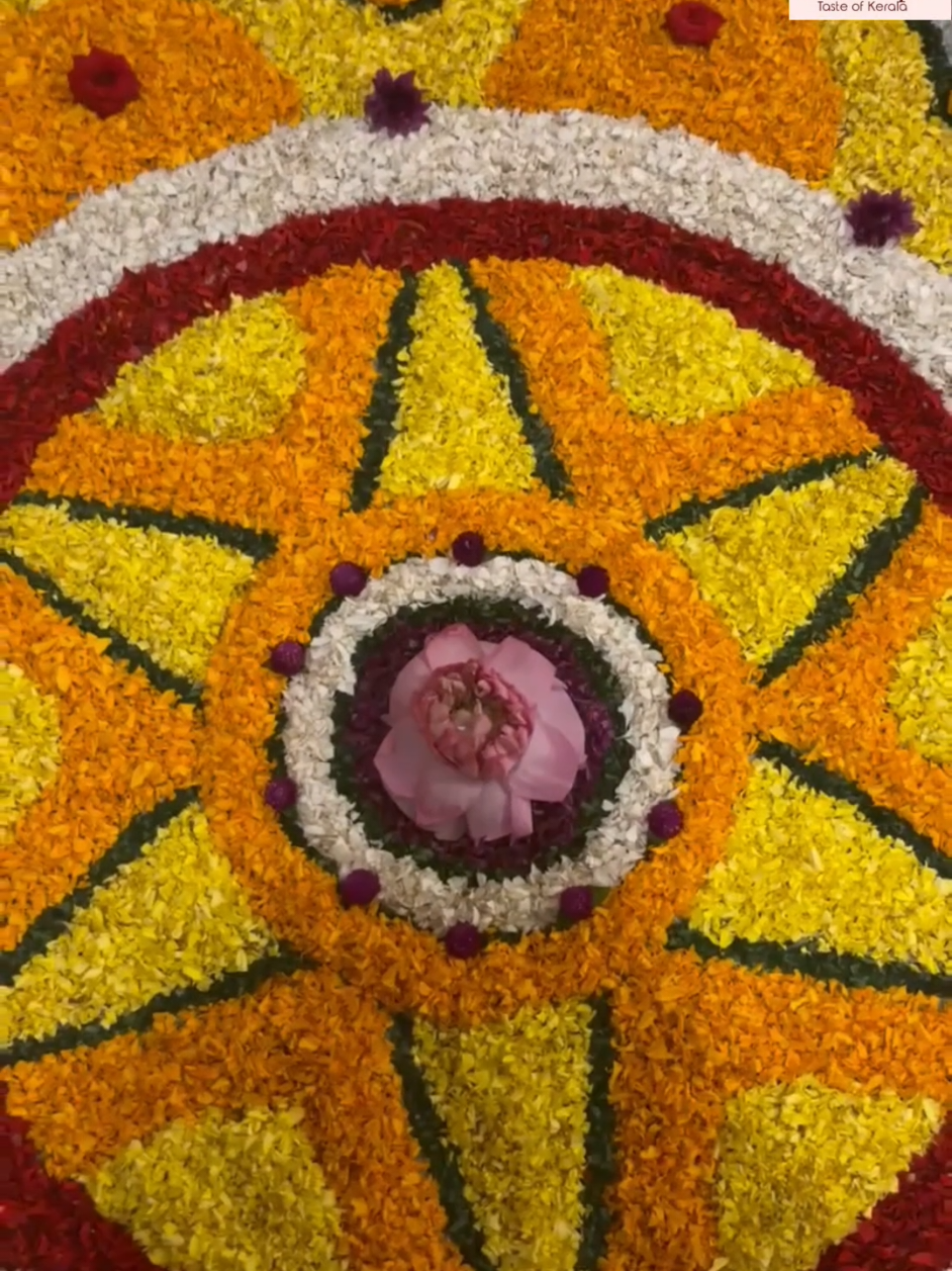 @Nisha Srijith