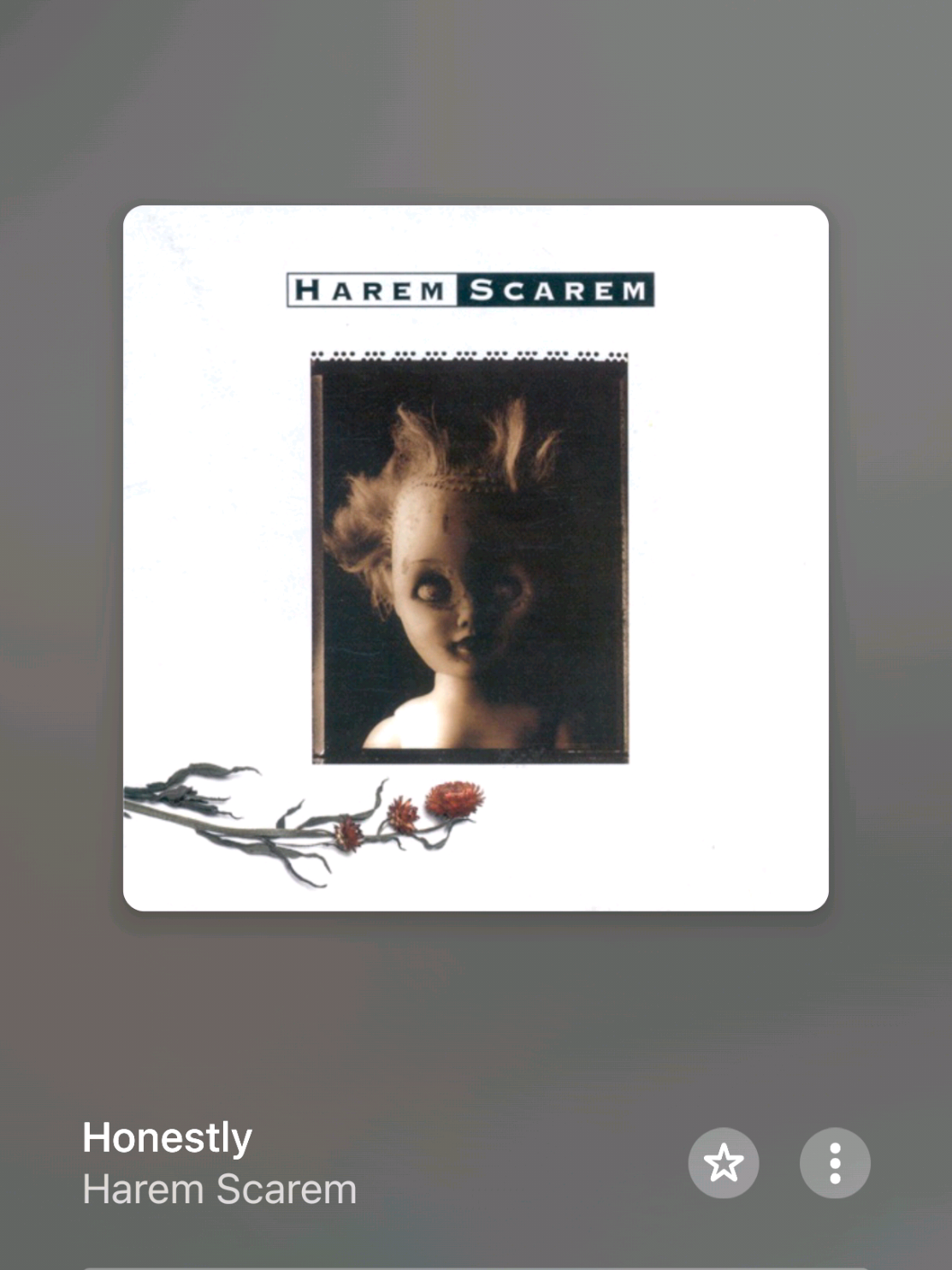 @HoneyLyricss