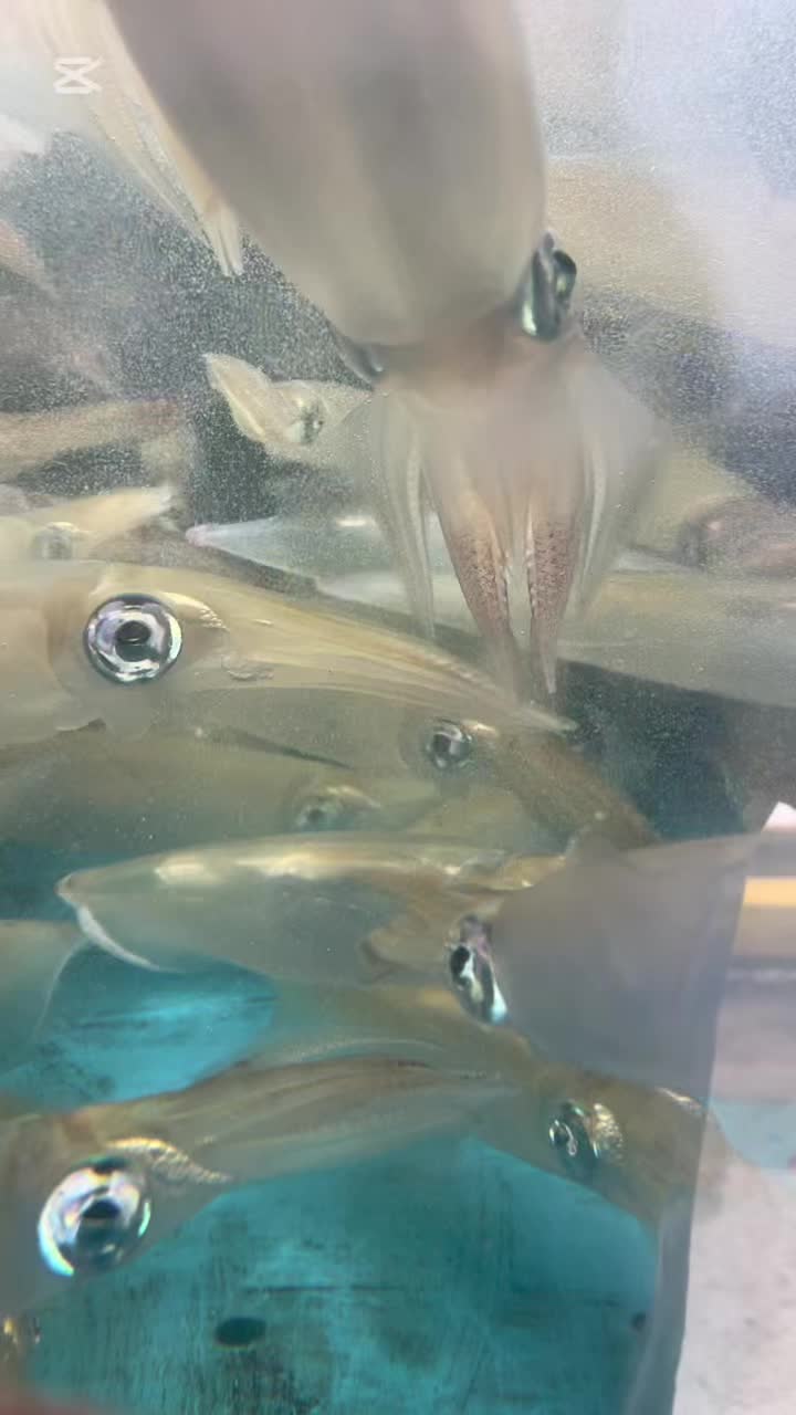 @株式会社魚好人