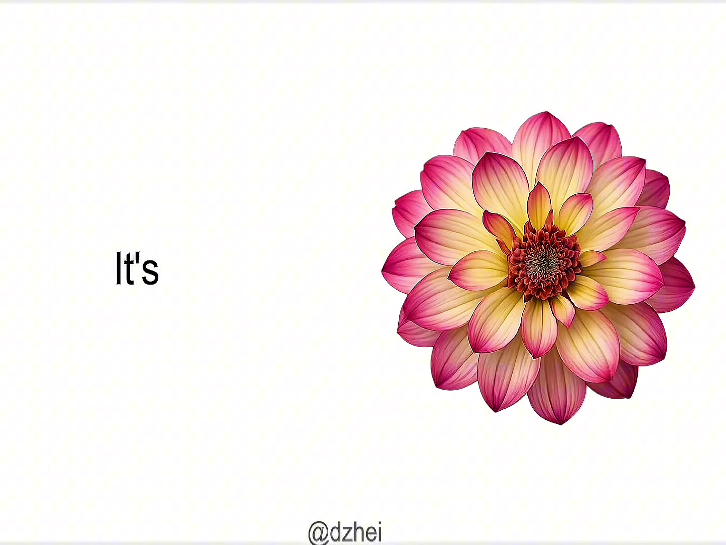 @dzhei ๐ป
