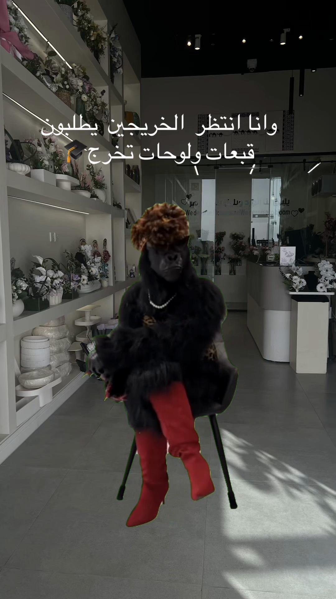 @استيج للهدايا