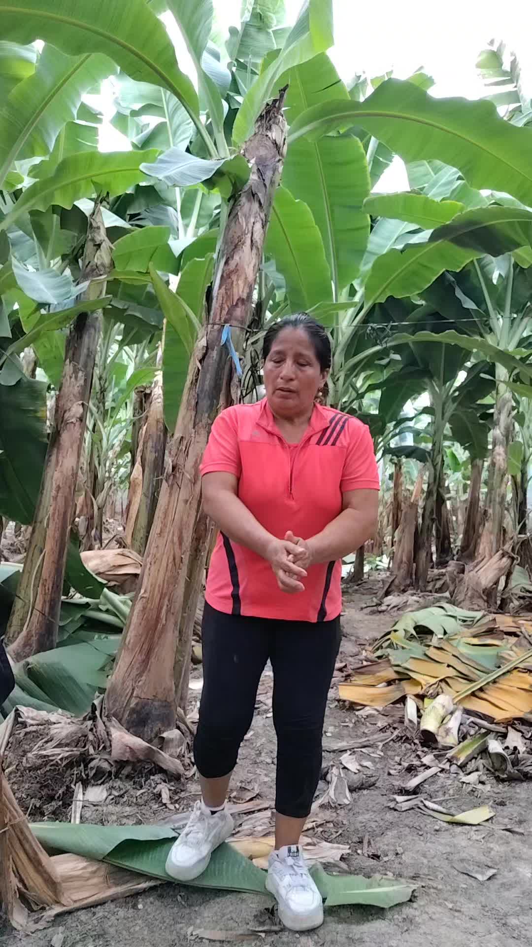@🛩️🍓ABUELITA BENI⚜️