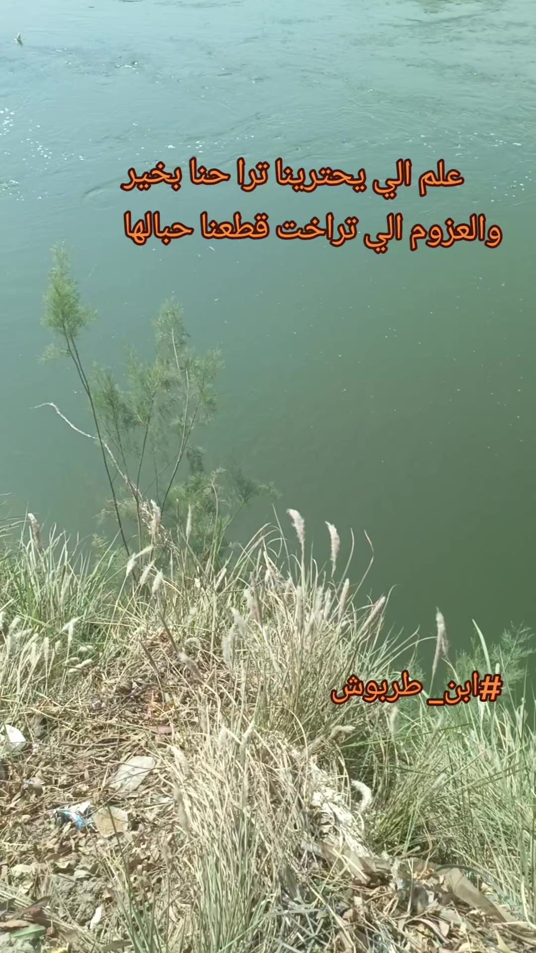 @ابو ميار السويدي 🇹🇷