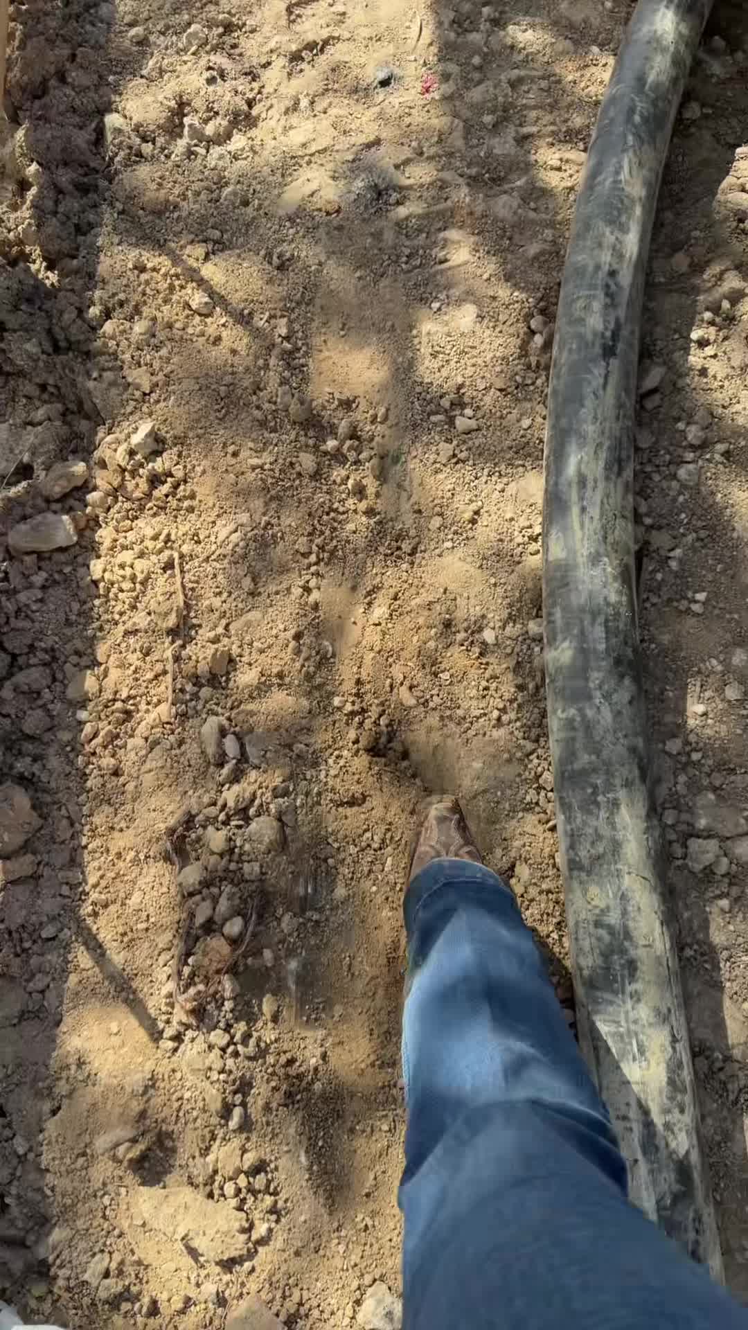 @monicamconnectsdfw