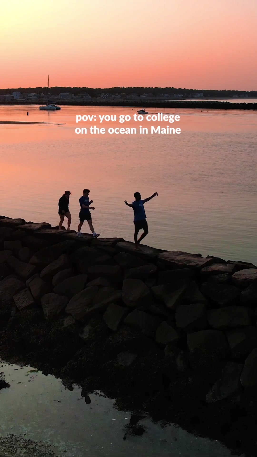 @UNE Admissions