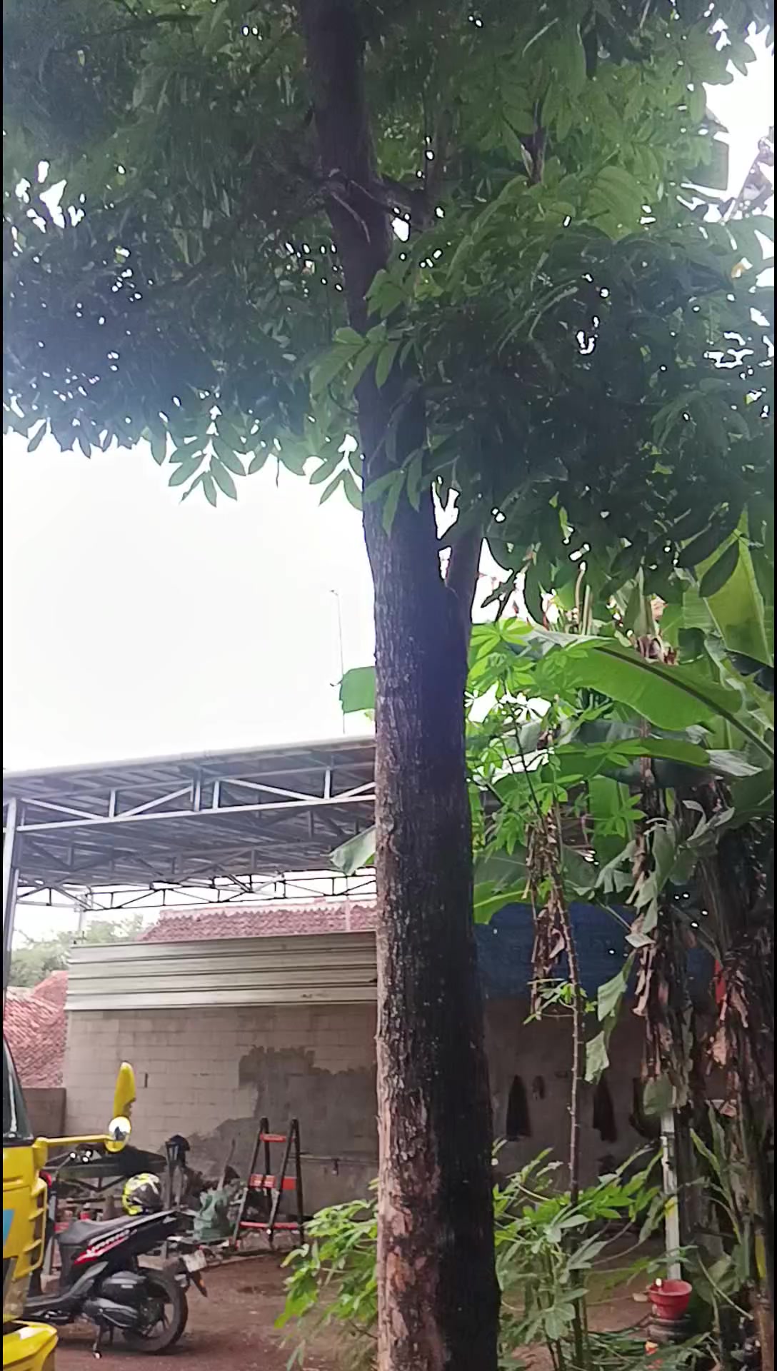 @PT. BHAYONGBHONG Group
