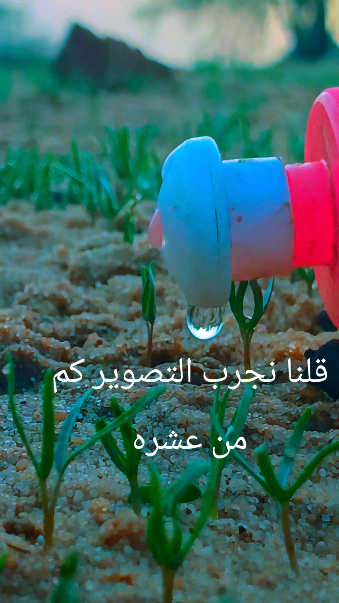 @💚💚$ البديري$💚💚