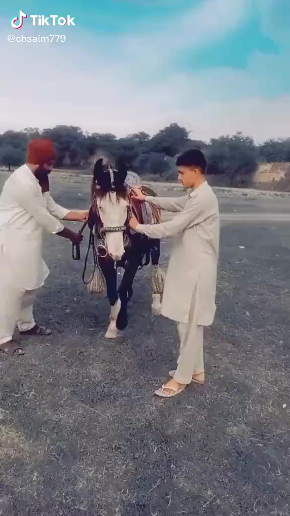 @Malikjaveed