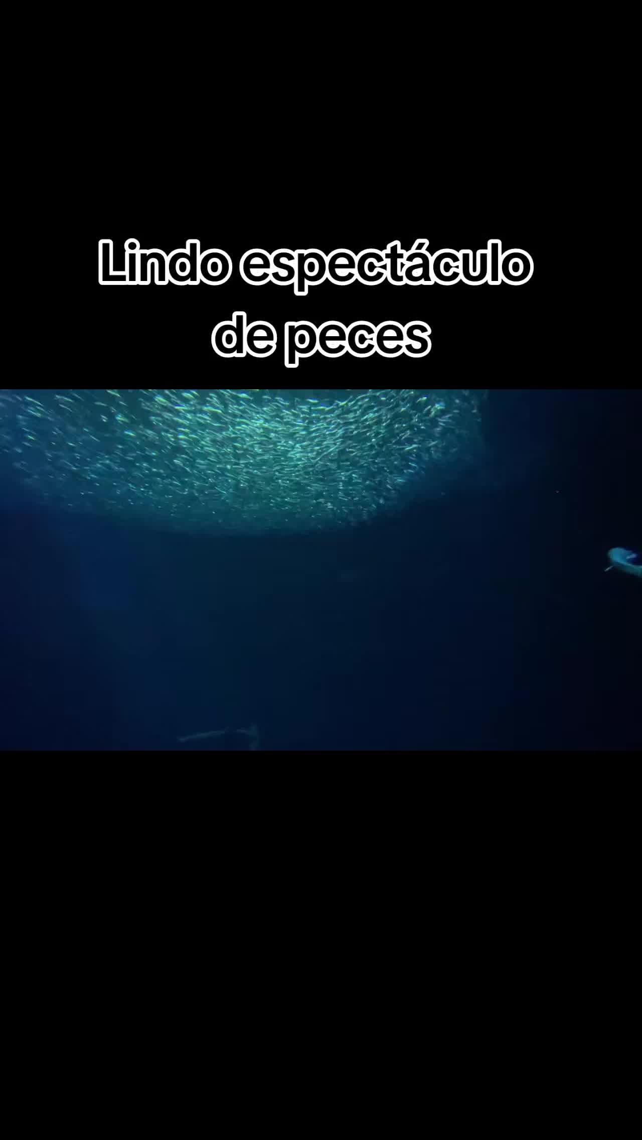 @🦋𝓜𝓲𝓻𝓪𝓷𝓭a