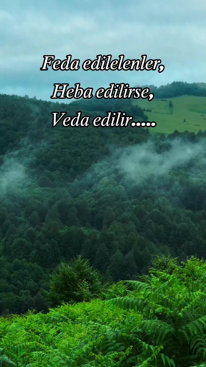 @║▌║◤ 𝗦𝗔𝗚𝗟𝗜𝗞 & 𝗖𝗜 ◢║▌║
