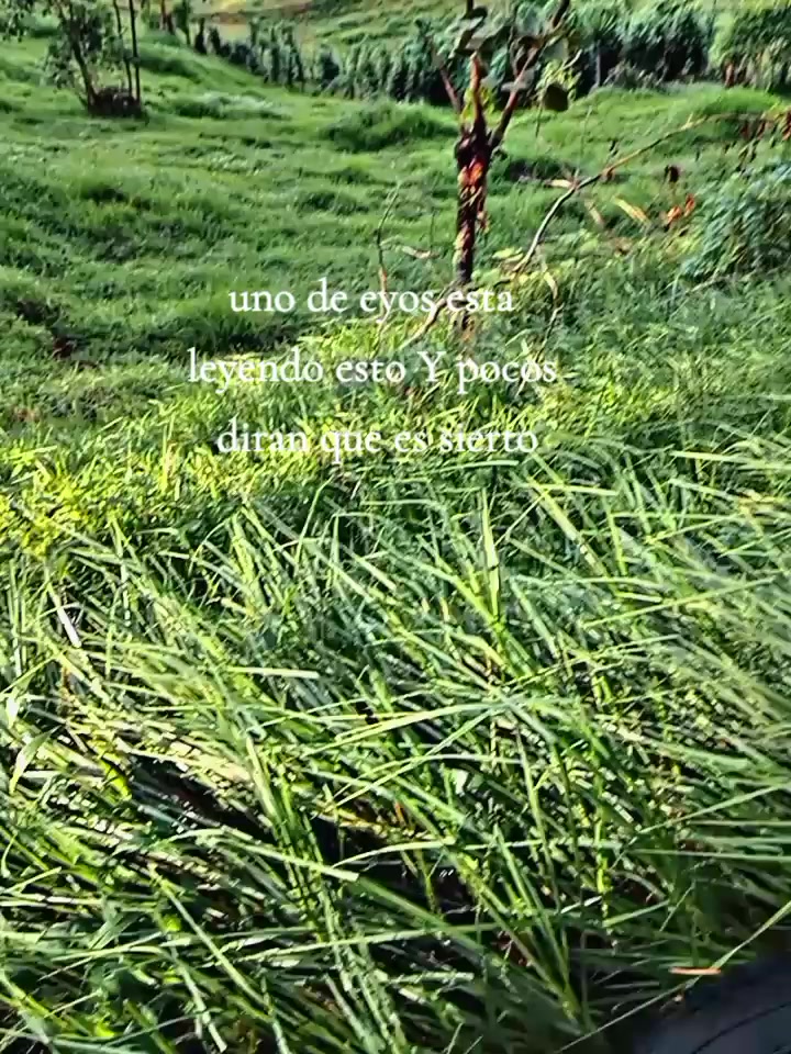 @R1 vasquez ☻️.