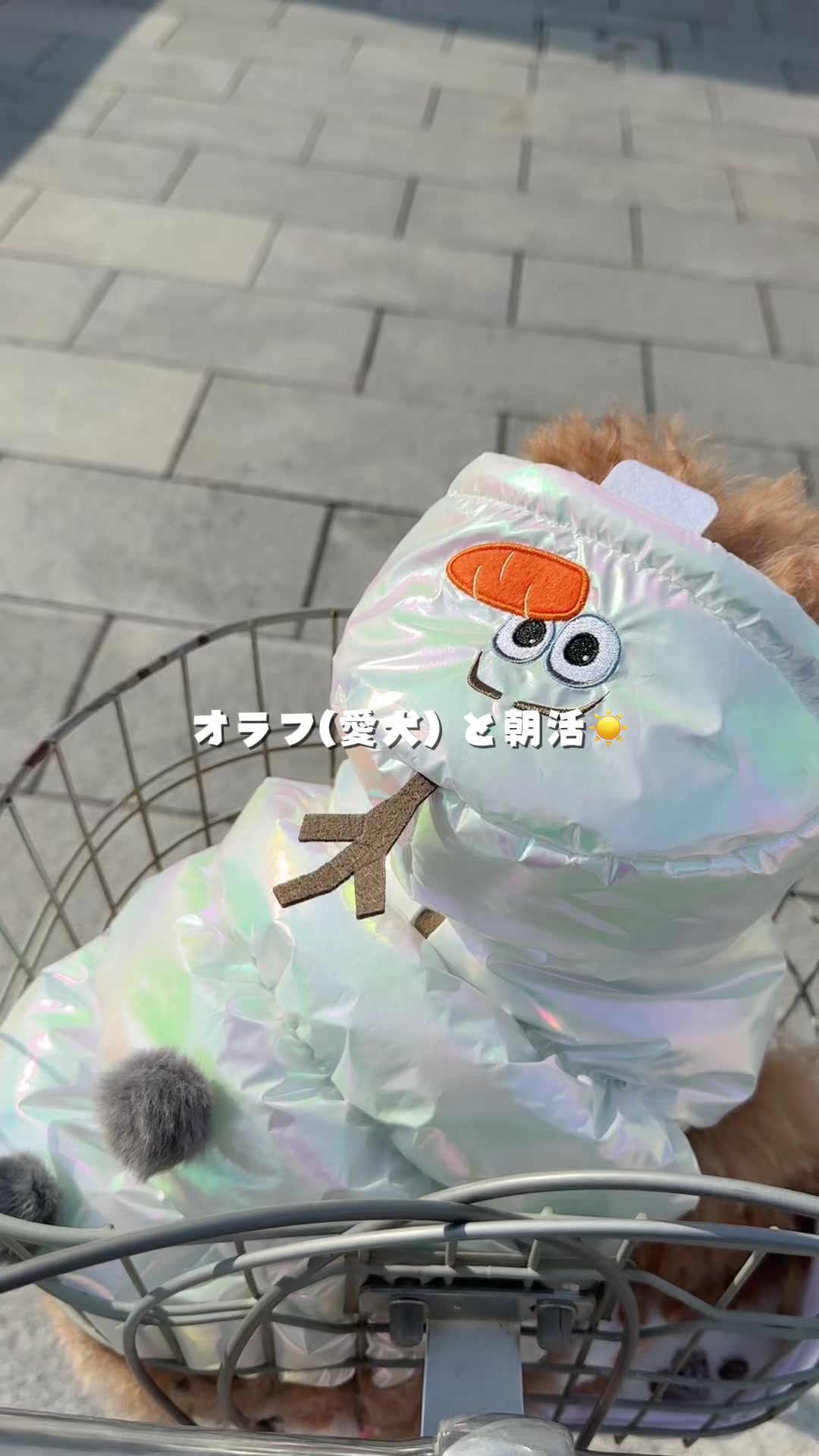 @むぎ🍫🧸