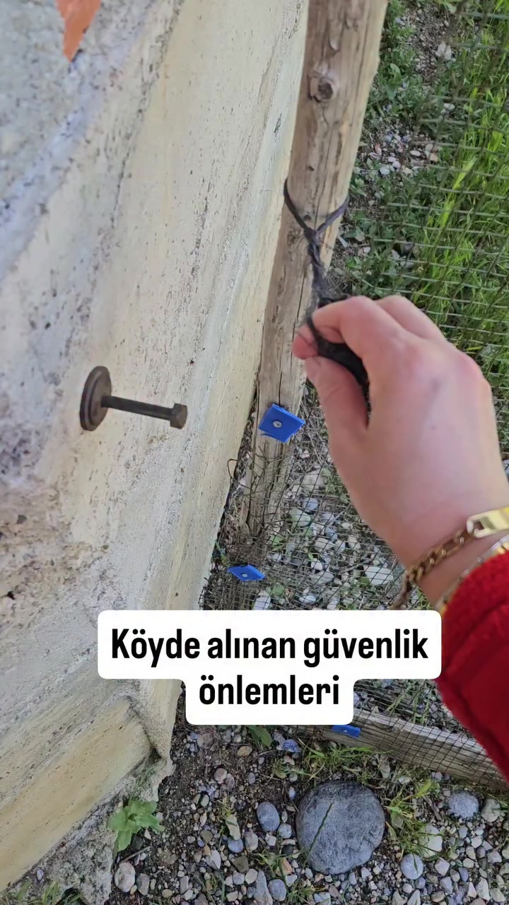 @Lavin