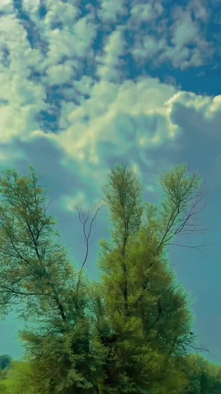 @❤️beautiful❤️