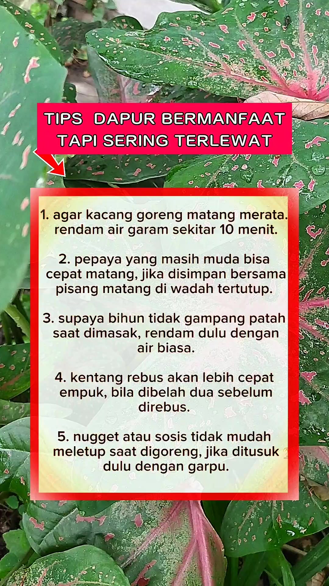@Ghoniyah