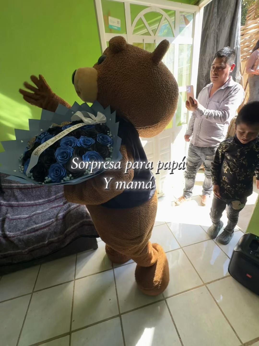 @perezhernandeznyce