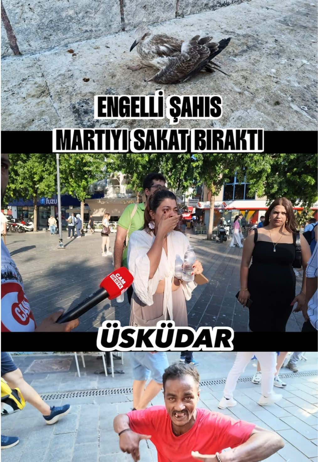 @Mesut Yılmaz
