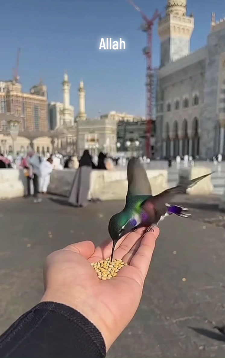 @Sarah 🎀 🕊️
