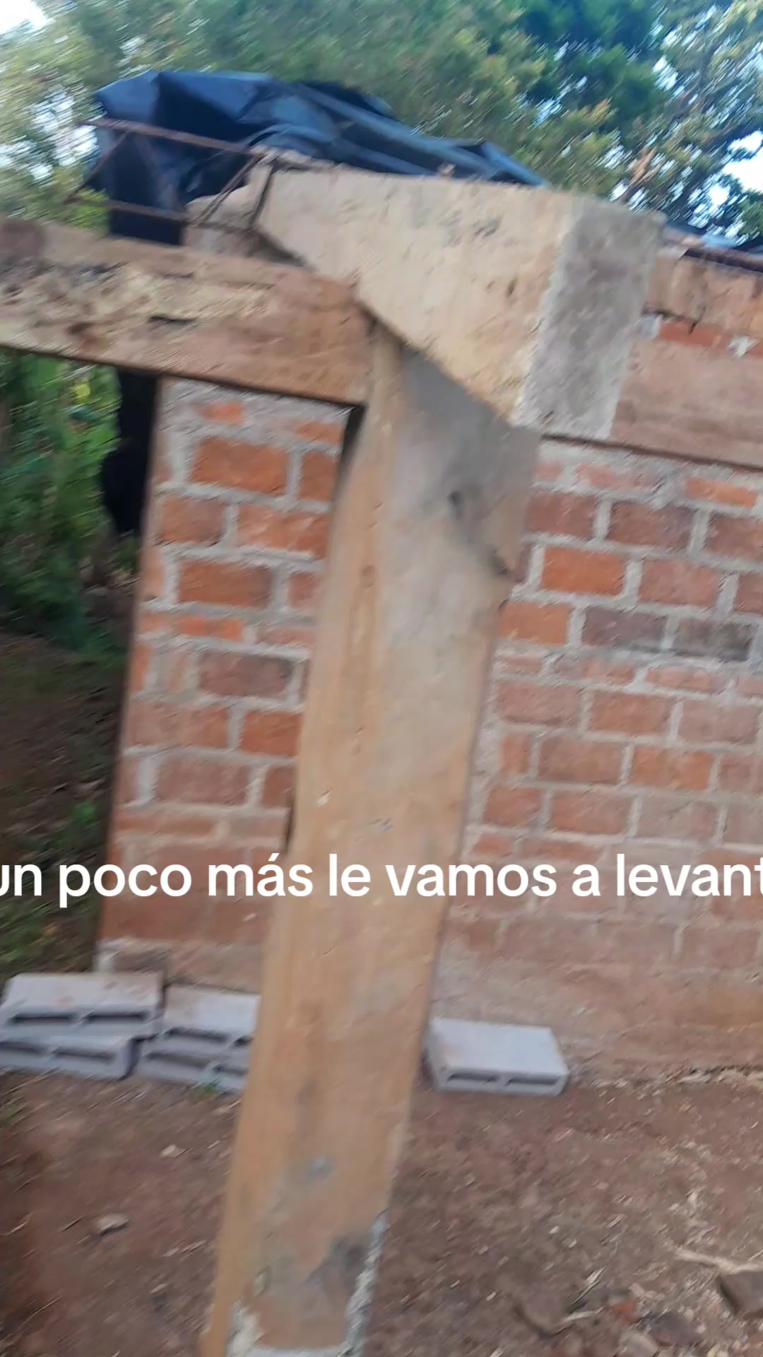 @Luis Guevara