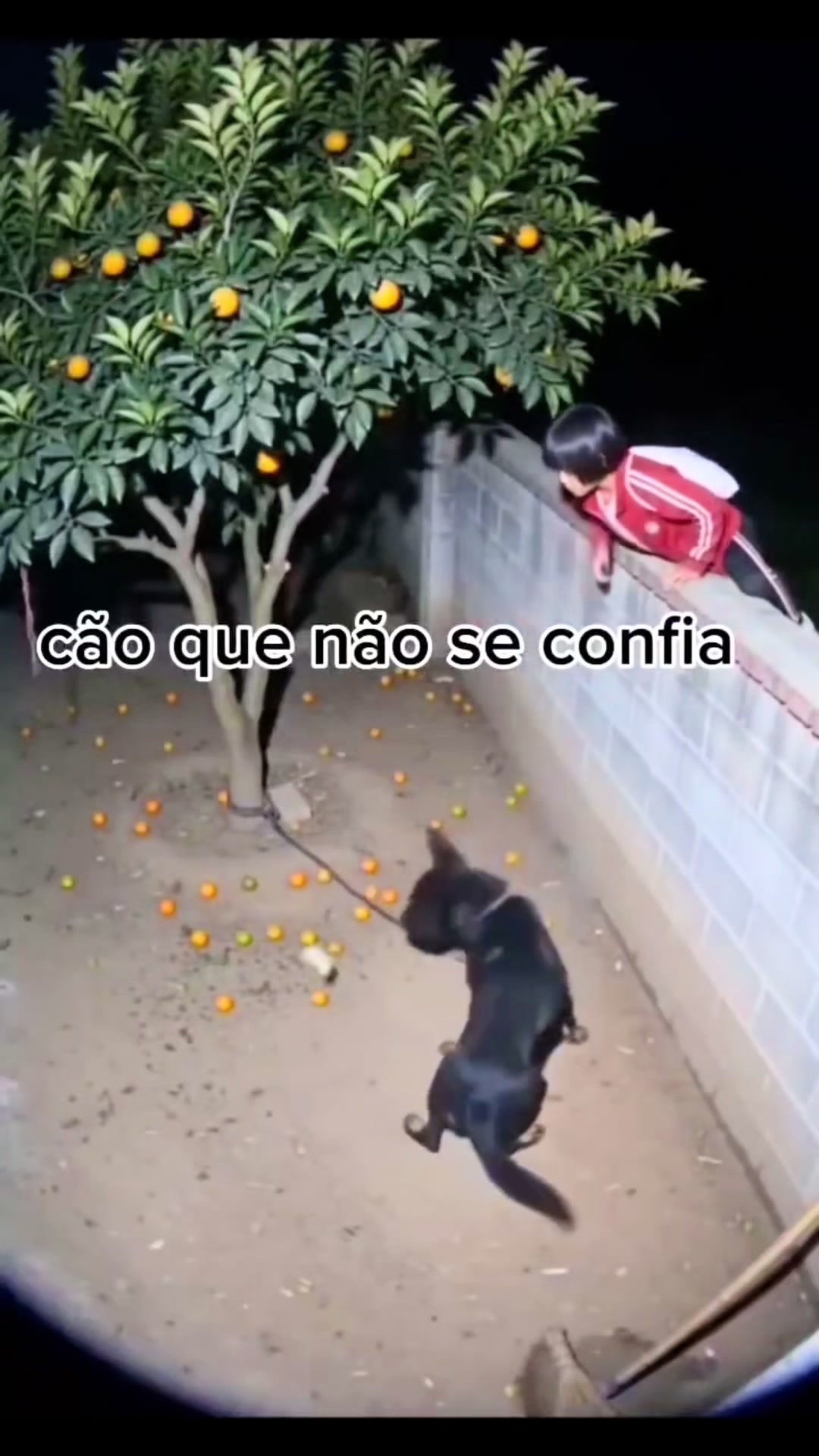 @gilsonruganny🇦🇴