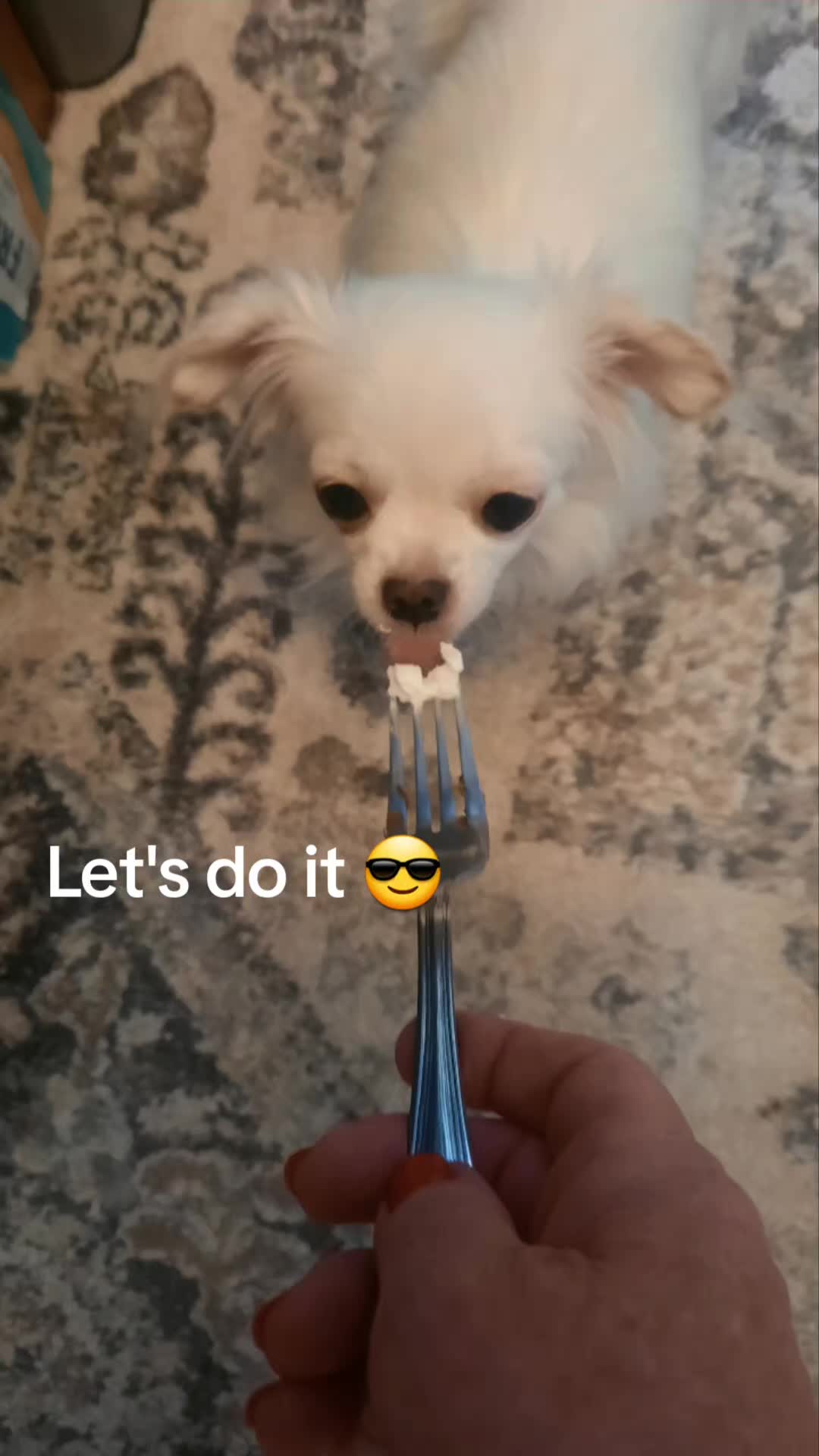 @danasdailydoodles