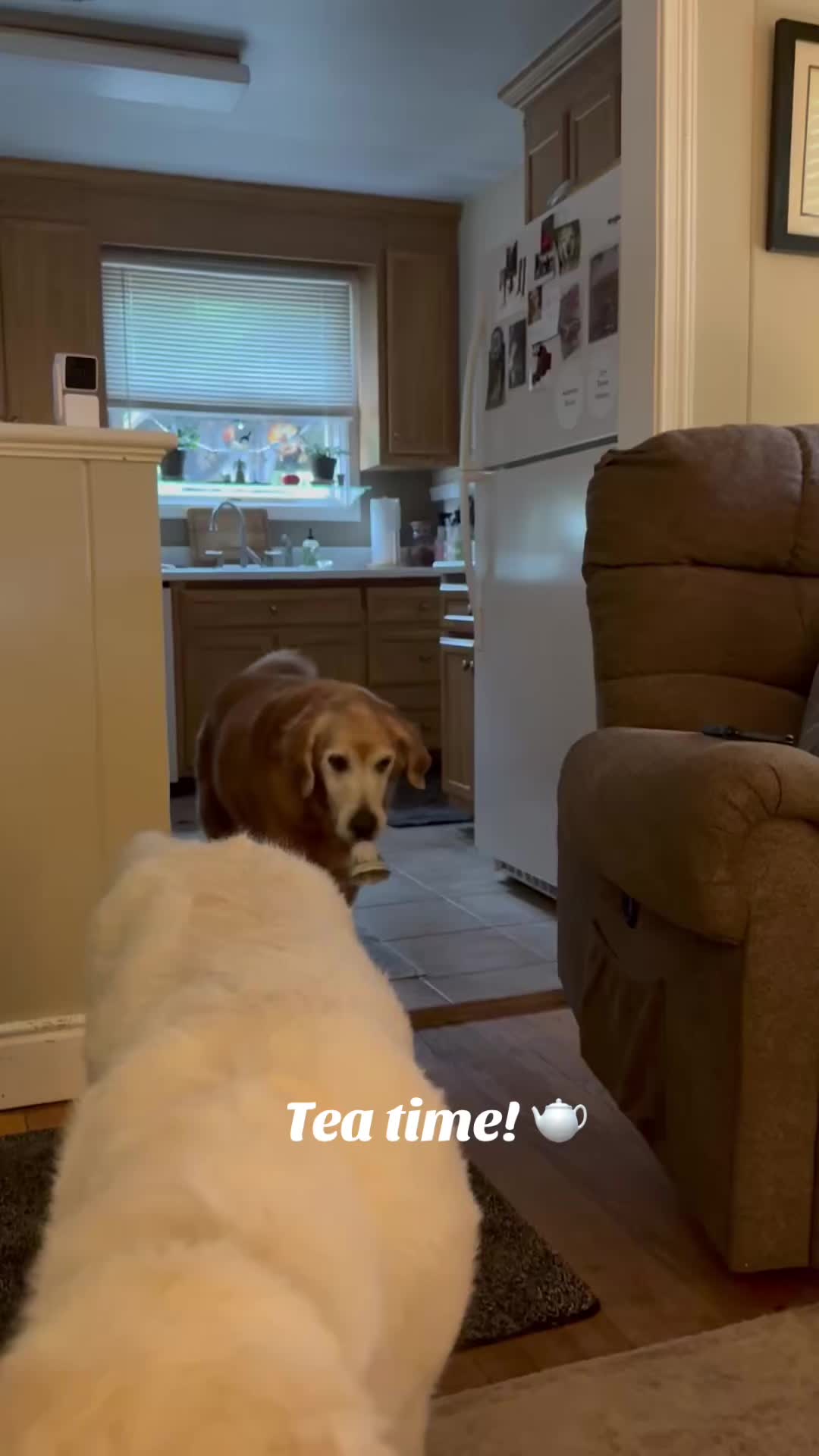 @lifewithduke2025