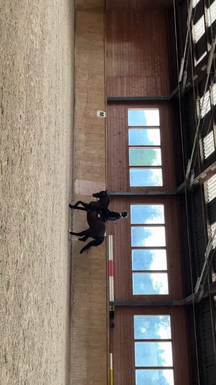 @софа липвикс