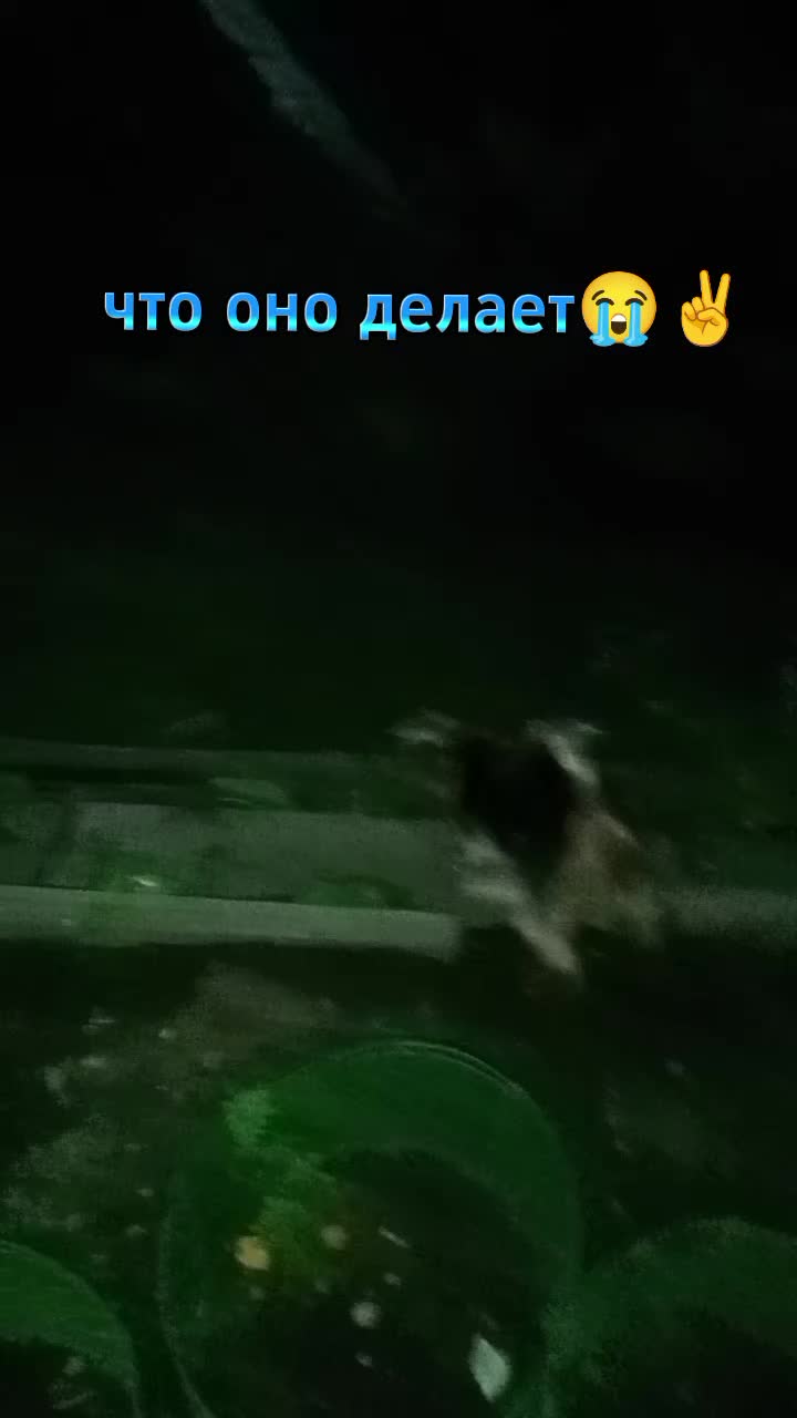 @๐ซ๐๐๐๐๐๐(Naz1s)