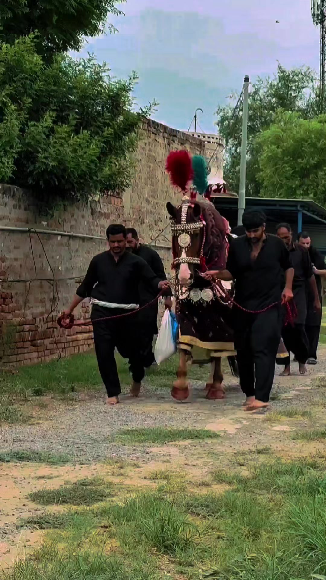 @مرکزی ذوالجناح تلہ گنگ