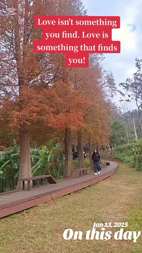 @珍珍🇹🇼(malditangEx)?